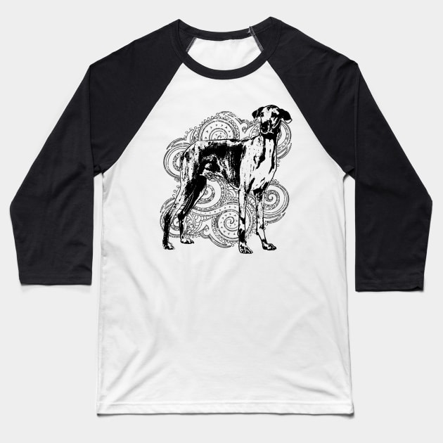 Azawakh Sighthound Baseball T-Shirt by Nartissima